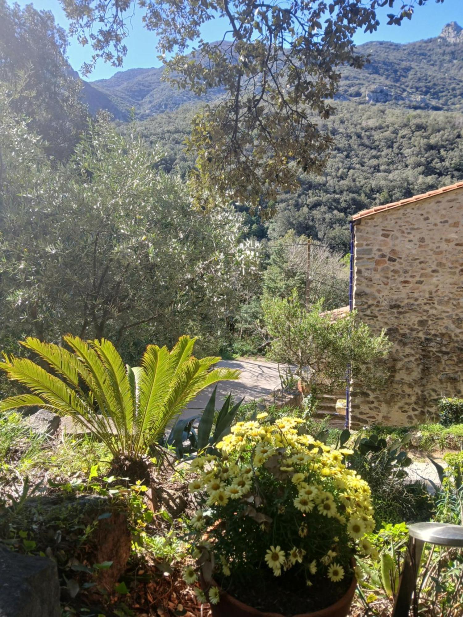 La Bergerie Villa Sorede Exterior photo